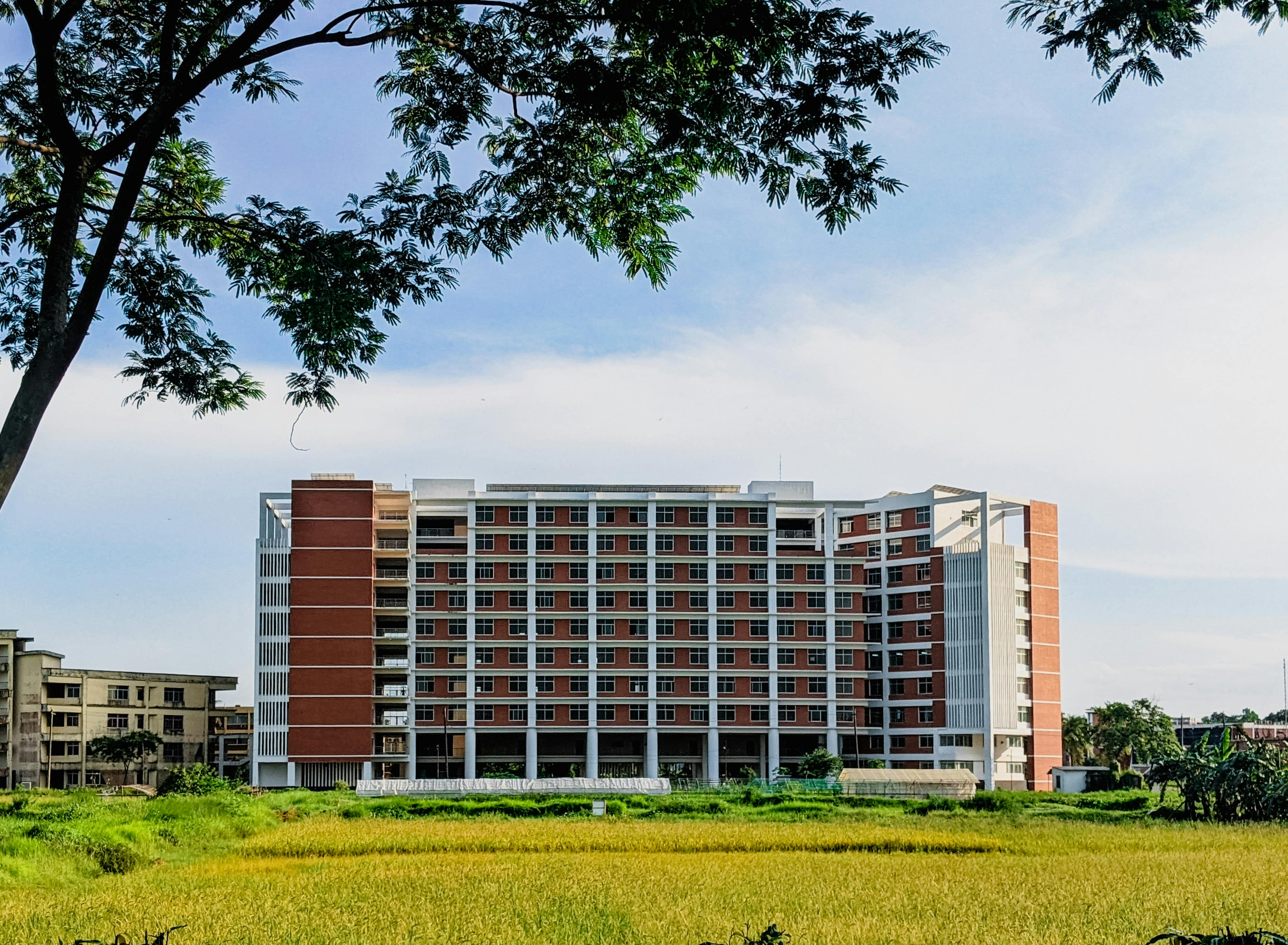 Schools and Universities